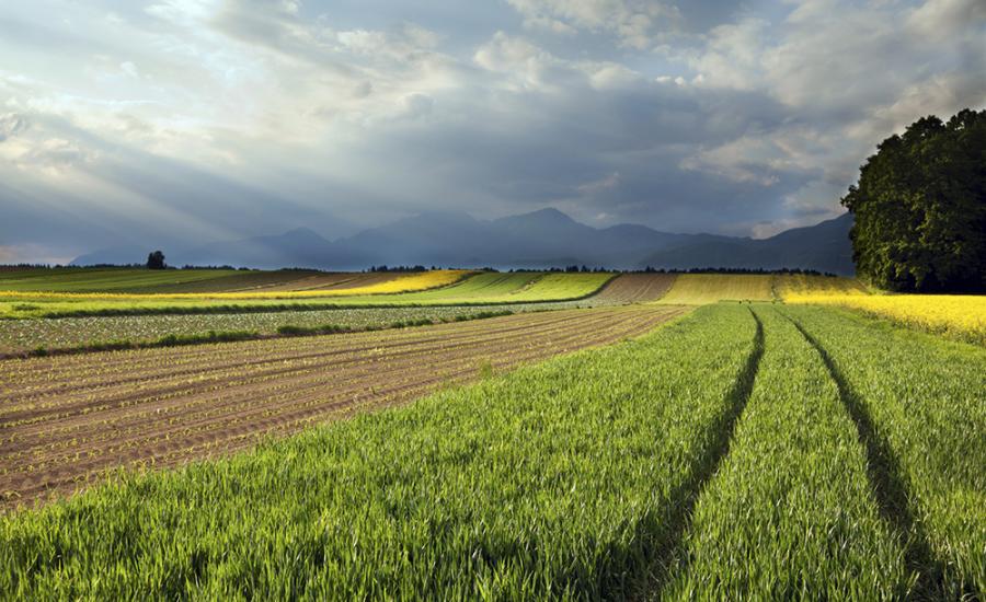 Photo of a farm fields