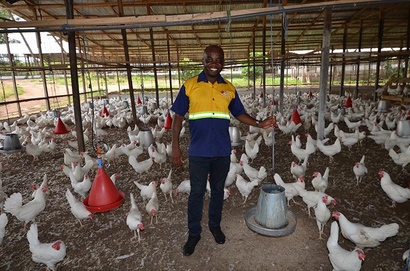 Mathew Bonso prefers U.S. soybean meal for his flock that now produces 8 million eggs per year. He learned about the quality of U.S soy through his ongoing USDA-funded work with WISHH.