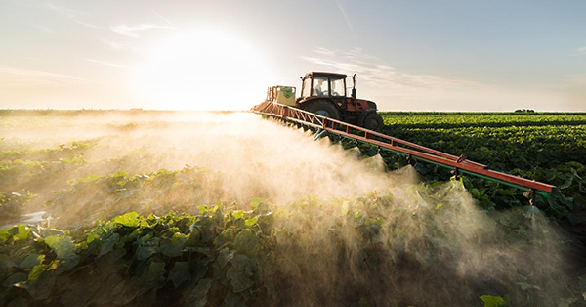 A fertilizer shortage, worsened by war in Ukraine, is driving up global food prices and scarcity